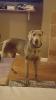 Milo Standing